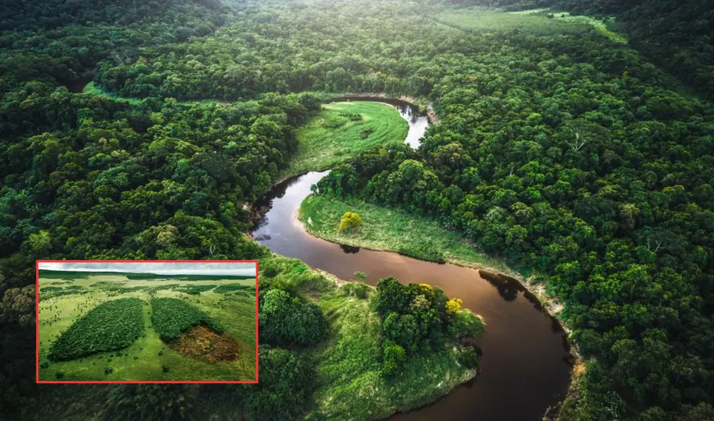 Durante décadas, se ha creído que el Amazonas es el pulmón del planeta. Foto: composición LR/El País/RAISG
