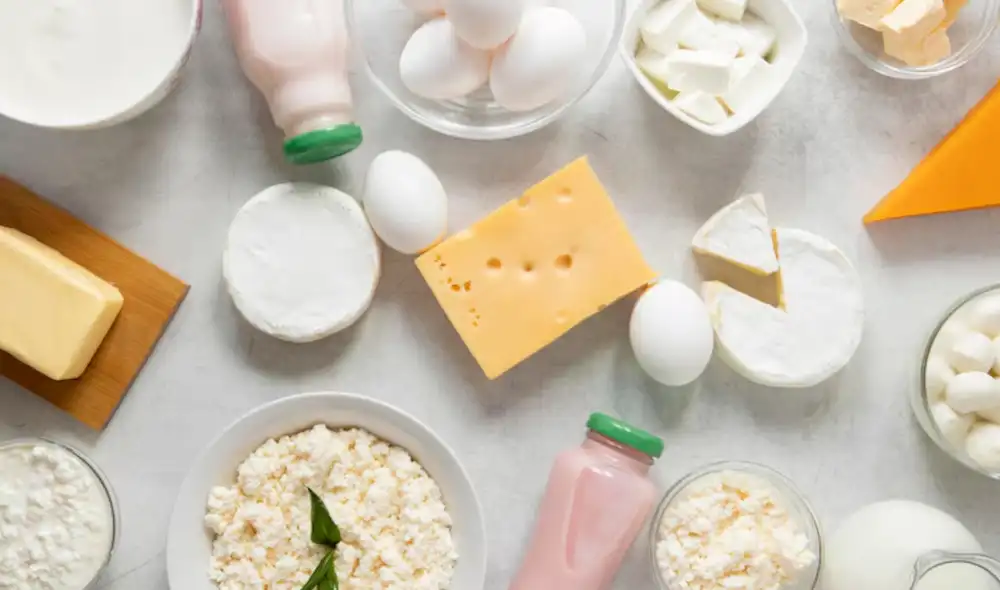 Los probióticos son esenciales para fortalecer el sistema inmunológico y mejorar la digestión. Foto: FreePik Los probióticos son esenciales para fortalecer el sistema inmunológico y mejorar la digestión. Foto: FreePik