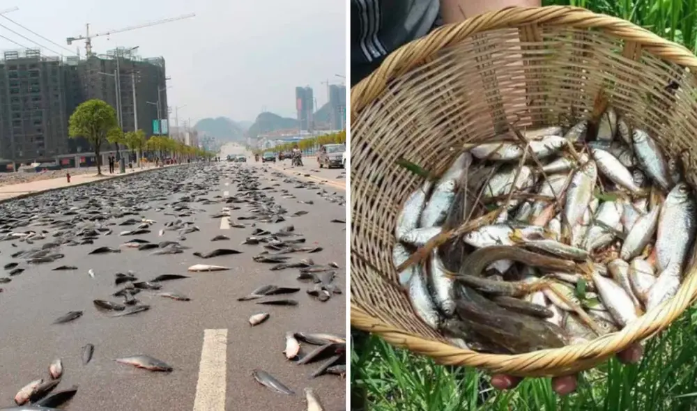 El país de América Latina donde ocurre una increíble lluvia de peces: un  evento natural que alimenta a todo un pueblo | Mundo | La República