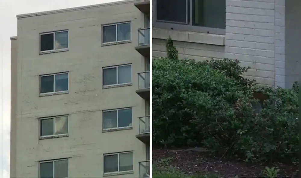 Niño de 2 años cae de un rascacielos y sobrevive de milagro por un arbusto en Maryland.