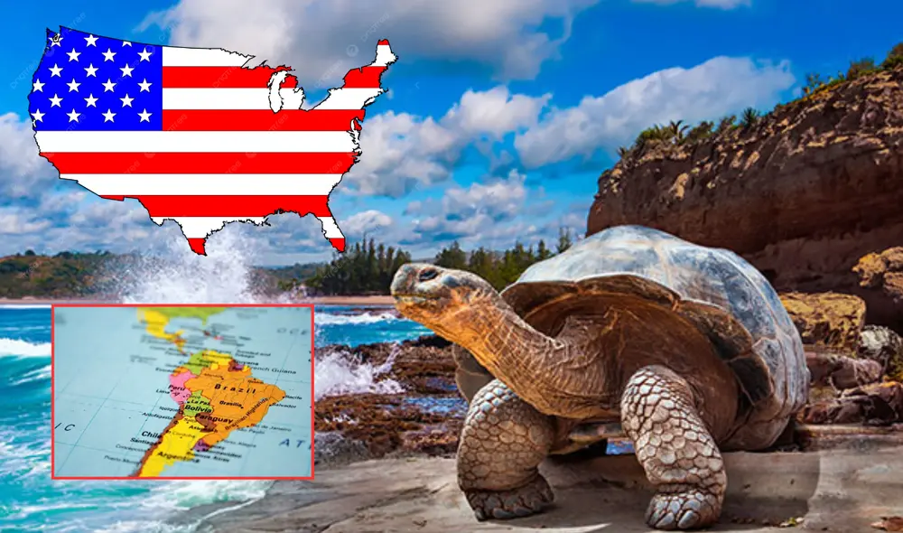 La ubicación privilegiada de las Galápagos convierte al archipiélago en un nuevo eje de interés para EE. UU. Foto: composición LR/saeeg.org/Pngtree/Assist Card