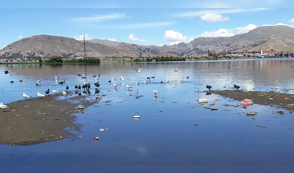 La basura y desagües de negocios y viviendas van a parar al lago Titicaca. Foto: Difusión La basura y desagües de negocios y viviendas van a parar al lago Titicaca. Foto: Difusión