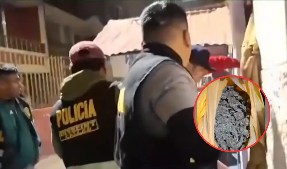 Encuentran armas y drogas a jóvenes de 14 años en el Callao. Foto: composición LR / captura Panamericana Encuentran armas y drogas a jóvenes de 14 años en el Callao. Foto: composición LR / captura Panamericana