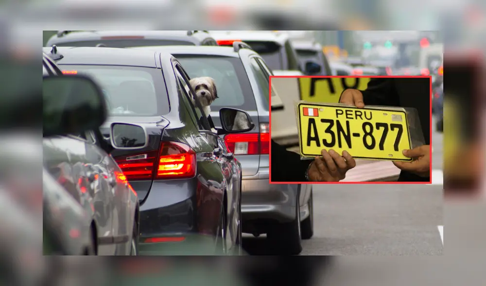 La AAP informó que la RM N.º 256-2025-MTC01.02 establece un cronograma de replaqueo para los vehículos.