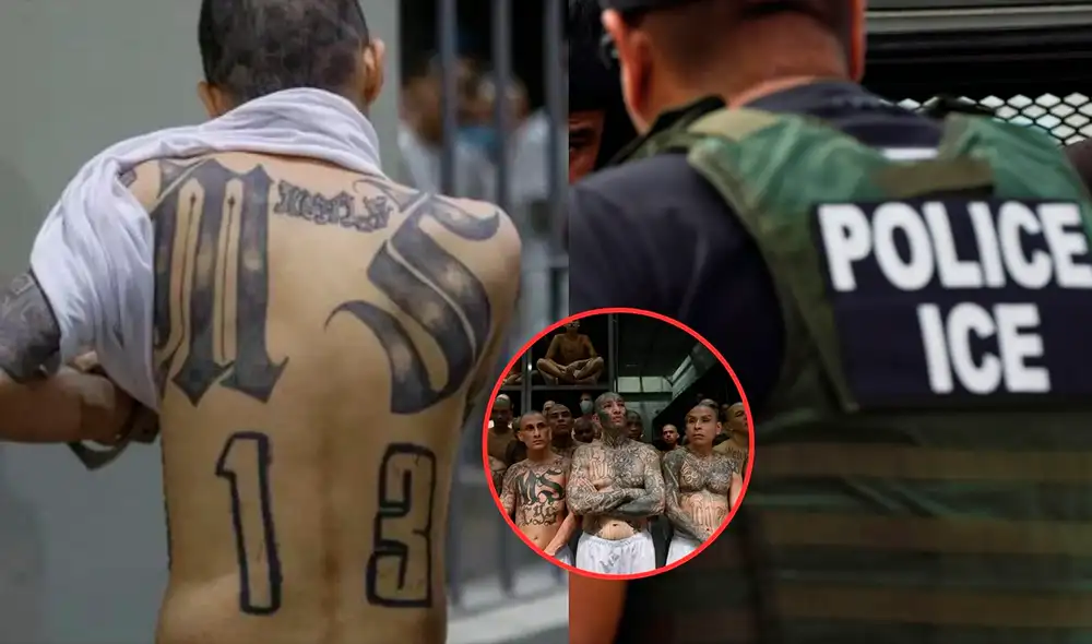 ICE en medio de operativo arresta a importante miembro de la red criminal MS-13.