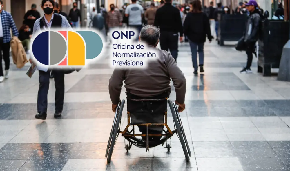 La ONP brinda una pensión de discapacidad para el trabajo a los afiliados. La ONP brinda una pensión de discapacidad para el trabajo a los afiliados.