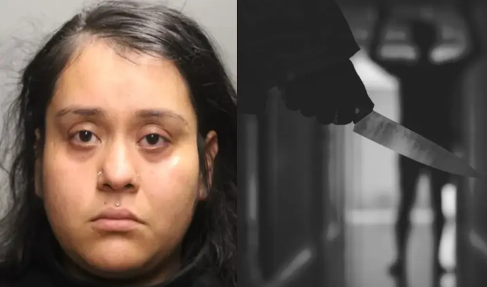 Llovana Torres apuñaló a su hijo por desordenar su hogar en Chicago Llovana Torres apuñaló a su hijo por desordenar su hogar en Chicago