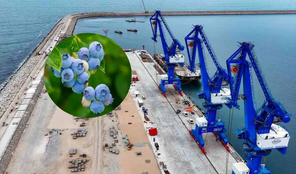 Productos sudamericanos se logran exportar hacia China a través del Megapuerto de Chancay. Foto: Composición LR/Andina. Productos sudamericanos se logran exportar hacia China a través del Megapuerto de Chancay. Foto: Composición LR/Andina.