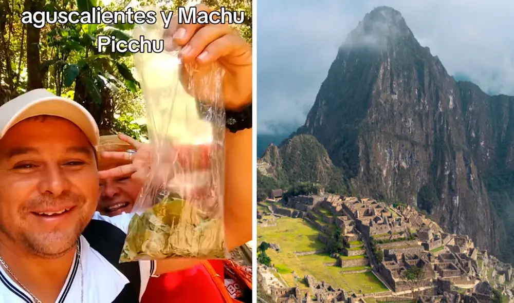 Los mexicanos señalaron que consumieron casi una bolsa de hojitas de coca y comenzaron a sentir los efectos de la planta. Foto: composición LR/ TikTok/ @sidvicius1978