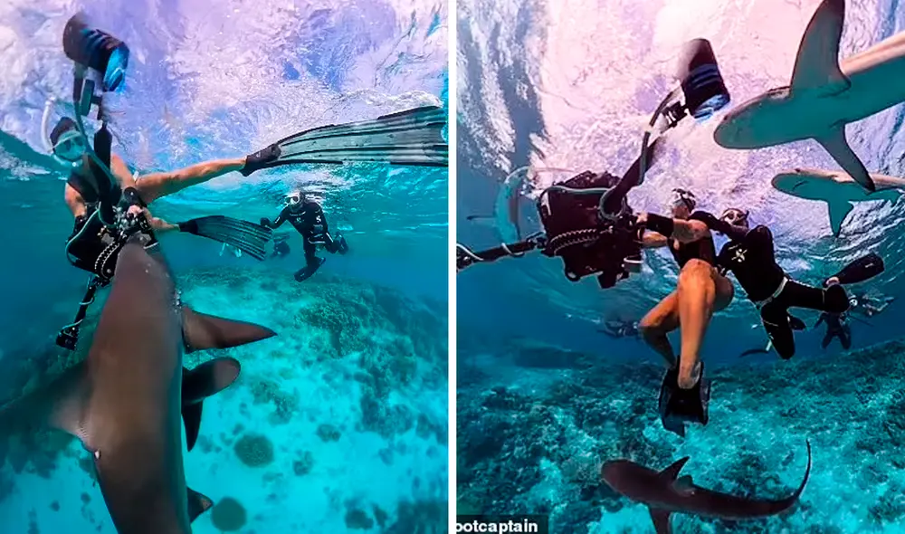 Las imágenes, captadas por la propia víctima, muestran cómo los tiburones se aproximan rápidamente. Foto: Composición LR/Jam Press/@barefootcaptain Las imágenes, captadas por la propia víctima, muestran cómo los tiburones se aproximan rápidamente. Foto: Composición LR/Jam Press/@barefootcaptain