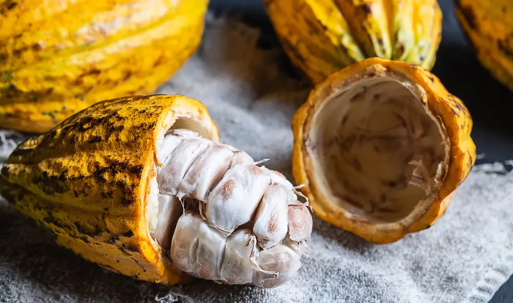 Incremento se debe a la alta demanda internacional y mejoras en la competitividad del cacao.