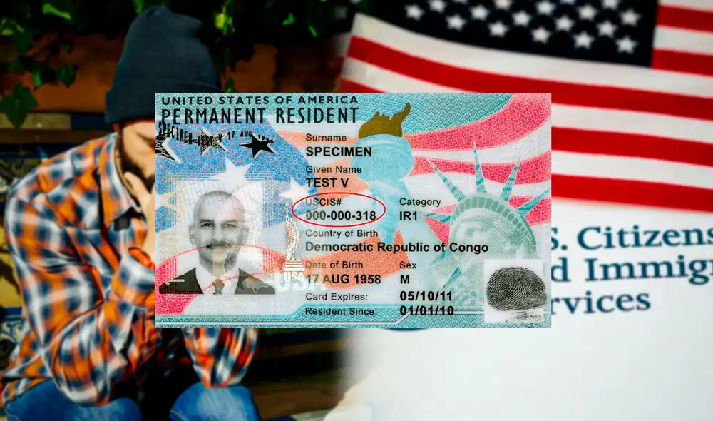 Inmigrantes podrían perder la Green Card por decir mentiras a USCIS.