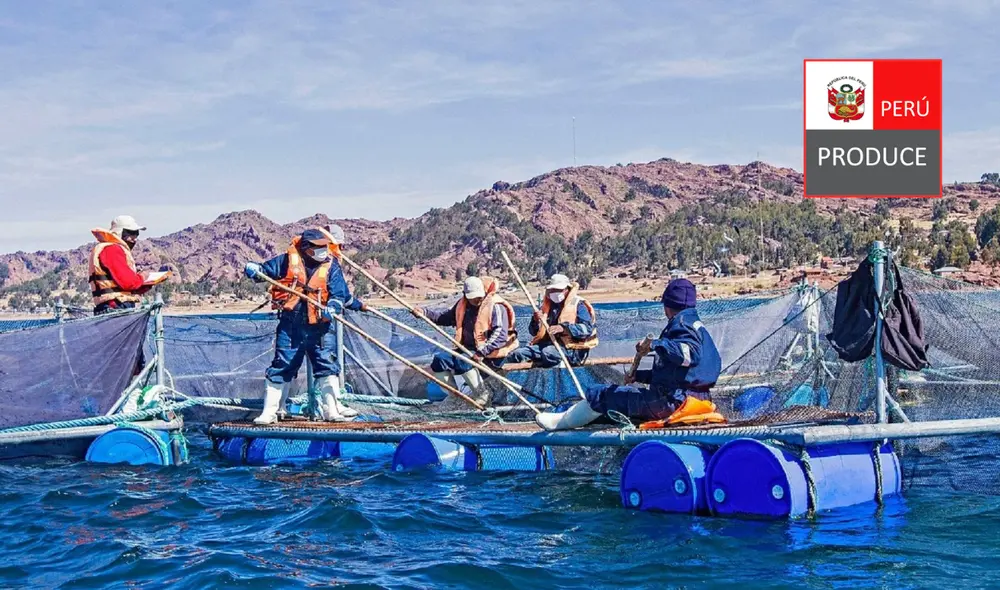 Cambios señalados en el Decreto Supremo N° 009-2025-Produce entran en vigencia desde el sábado 24 de mayo de 2025.