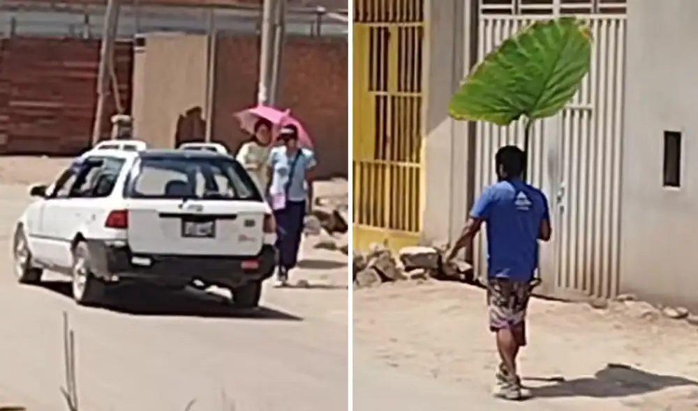 "Como Totoro", bromearon usuarios en clip viral. Foto: composición LR/ TikTok "Como Totoro", bromearon usuarios en clip viral. Foto: composición LR/ TikTok