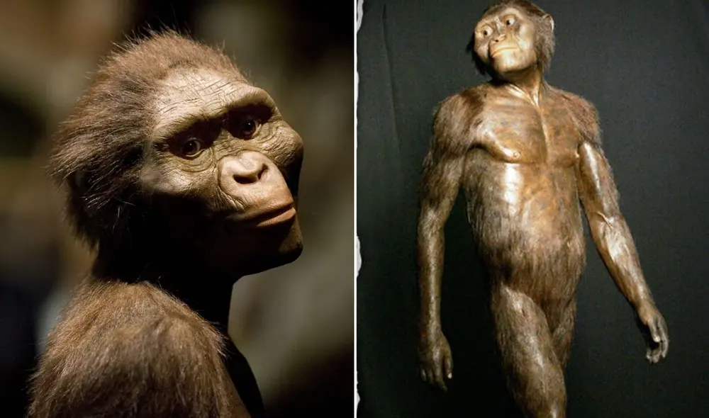 El hallazgo de "Lucy" en 1974 marcó un antes y un después en el estudio de la evolución humana. Foto: composición LR/National Geographic El hallazgo de "Lucy" en 1974 marcó un antes y un después en el estudio de la evolución humana. Foto: composición LR/National Geographic