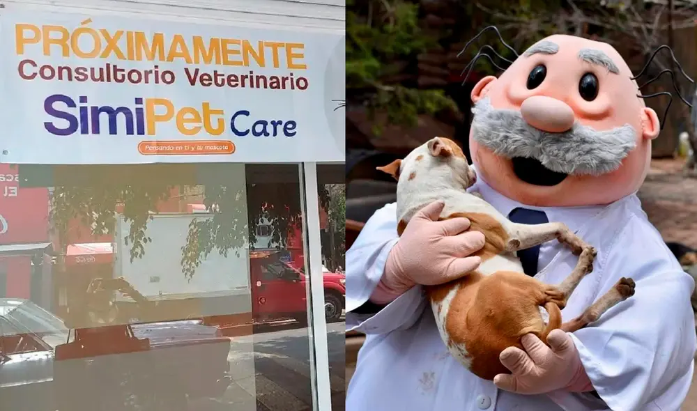 Dr. Simi incursionará en la atención médica para mascotas en CDMX. Dr. Simi incursionará en la atención médica para mascotas en CDMX.