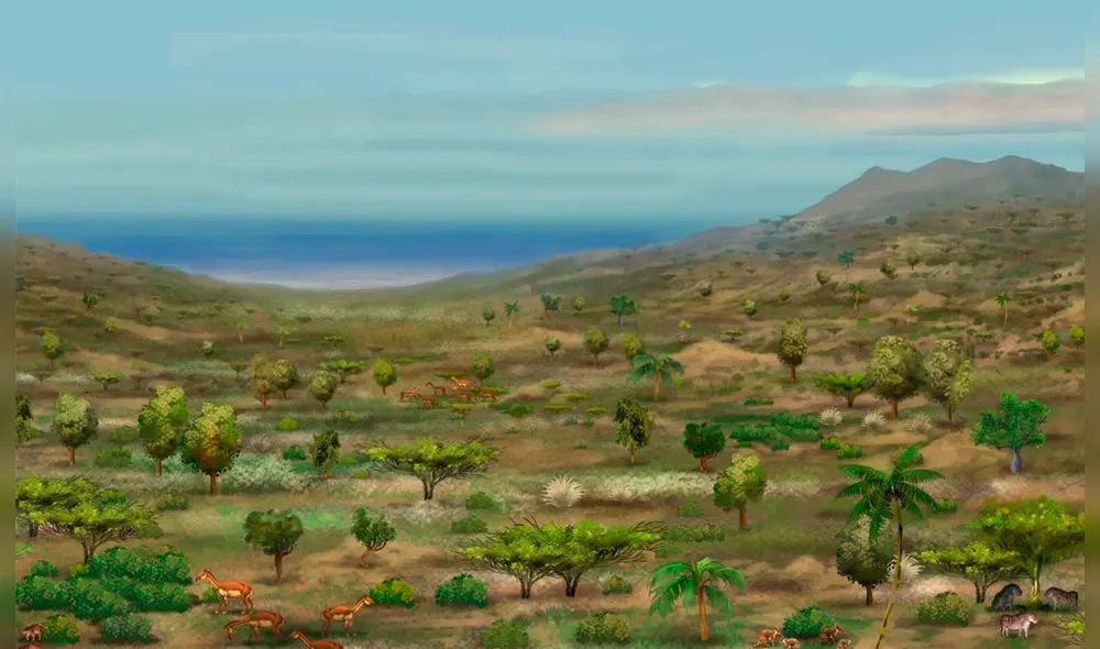 El árido desierto de Arequipa que podría reverdecer tras histórico hallazgo de hace 8 millones de años.