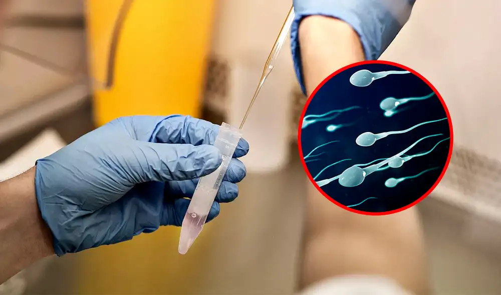 La variante se detectó en 23 de 67 niños analizados, pertenecientes a 46 familias en 8 países europeos. Foto: AFP/Composición LR