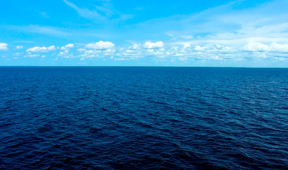 Científicos han calculado que solo se ha observado directamente menos del 1% de las profundidades oceánicas. Foto: IStock Científicos han calculado que solo se ha observado directamente menos del 1% de las profundidades oceánicas. Foto: IStock