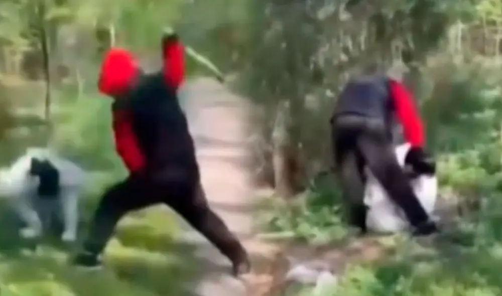 Dos menores de edad sufrieron violento ataque de adolescentes en Nueva York.