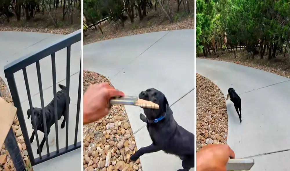 Video tiene miles de vistas en la plataforma.