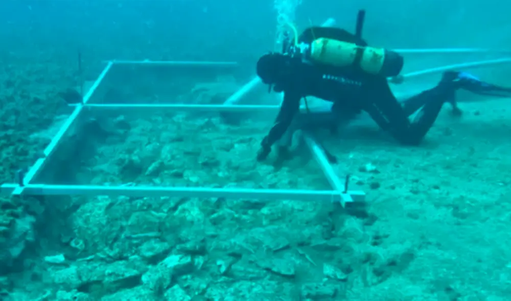 La estructura fue construida por la antigua cultura Hvar en la isla de Korčula. Foto: Universidad de Zadar