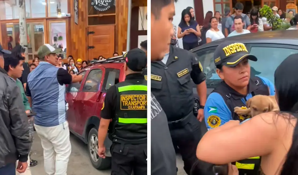 El rescate recibió los aplausos de los ciudadanos en Oxapampa, quienes criticaron que hayan dejado al perro solo y encerrado en el auto. Foto: composición LR/ TikTok/ @viaje.mania