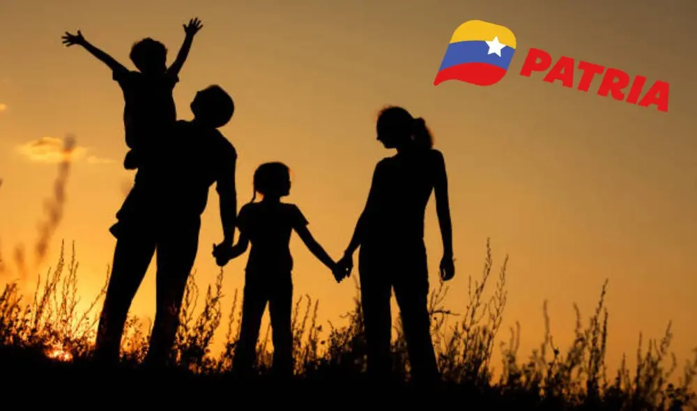 La mayoría de bonos de la patria se entregan por la plataforma del mismo nombre. Foto: composiciónLR/iStock/Patria