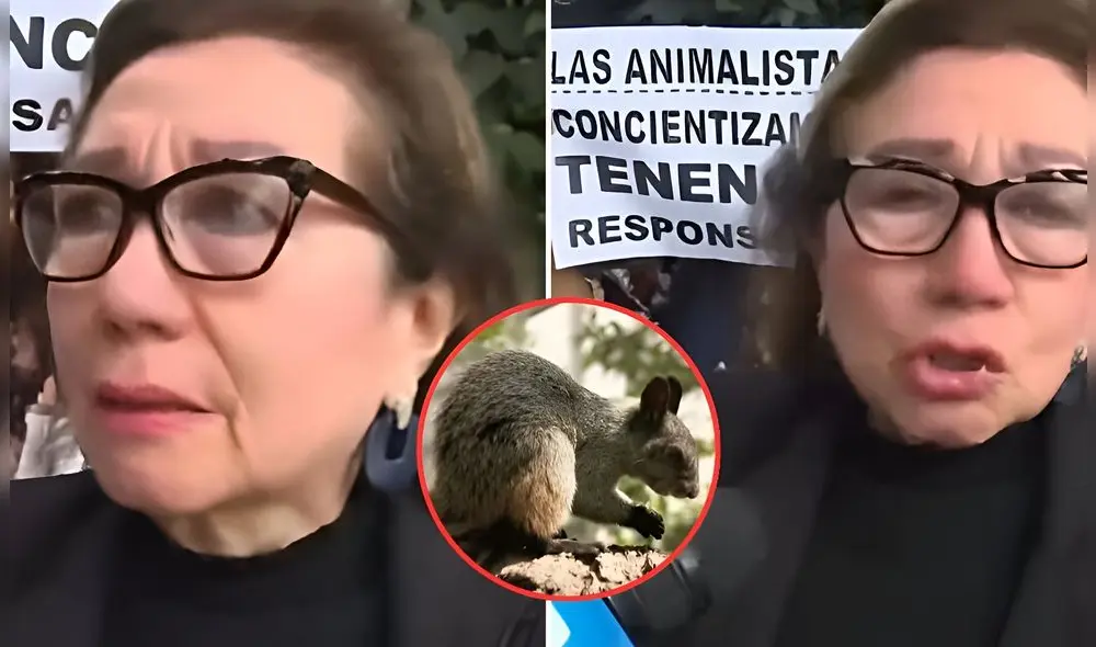 Una vecina de Surquillo fue multada por alimentar ardillas en parque cercano a su hogar. Foto: Composición LR/Captura de pantalla de YouTube/CDN Una vecina de Surquillo fue multada por alimentar ardillas en parque cercano a su hogar. Foto: Composición LR/Captura de pantalla de YouTube/CDN