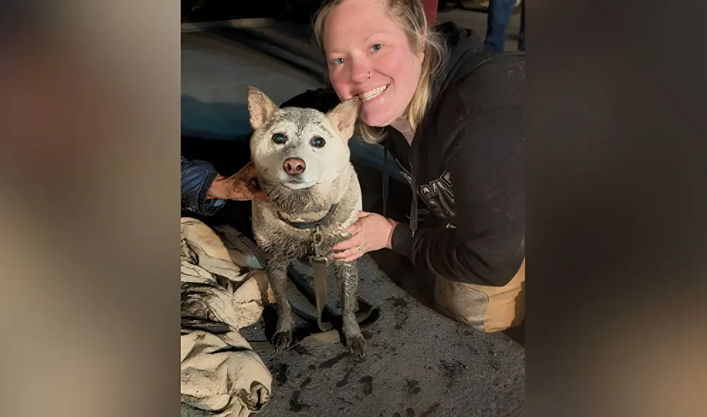 Un perro llamado El perro Blizzard fue rescatado tras estar 6 horas atrapado en una alcantarilla en Boalsburg, Pensilvania. Un perro llamado El perro Blizzard fue rescatado tras estar 6 horas atrapado en una alcantarilla en Boalsburg, Pensilvania.