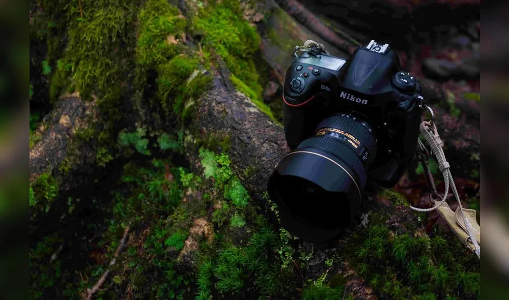 "Cortometrajes amazónicos". Imagen: Difusión.