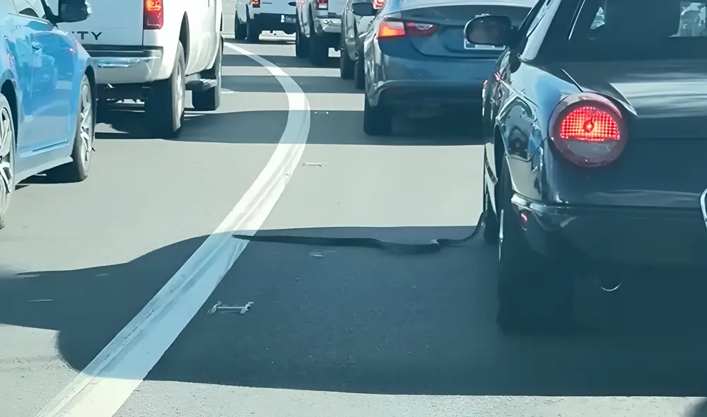 El vídeo de una serpiente que sube a un auto detenido en un semáforo en Nashville, Tennessee, se hizo viral en TikTok. El vídeo de una serpiente que sube a un auto detenido en un semáforo en Nashville, Tennessee, se hizo viral en TikTok.