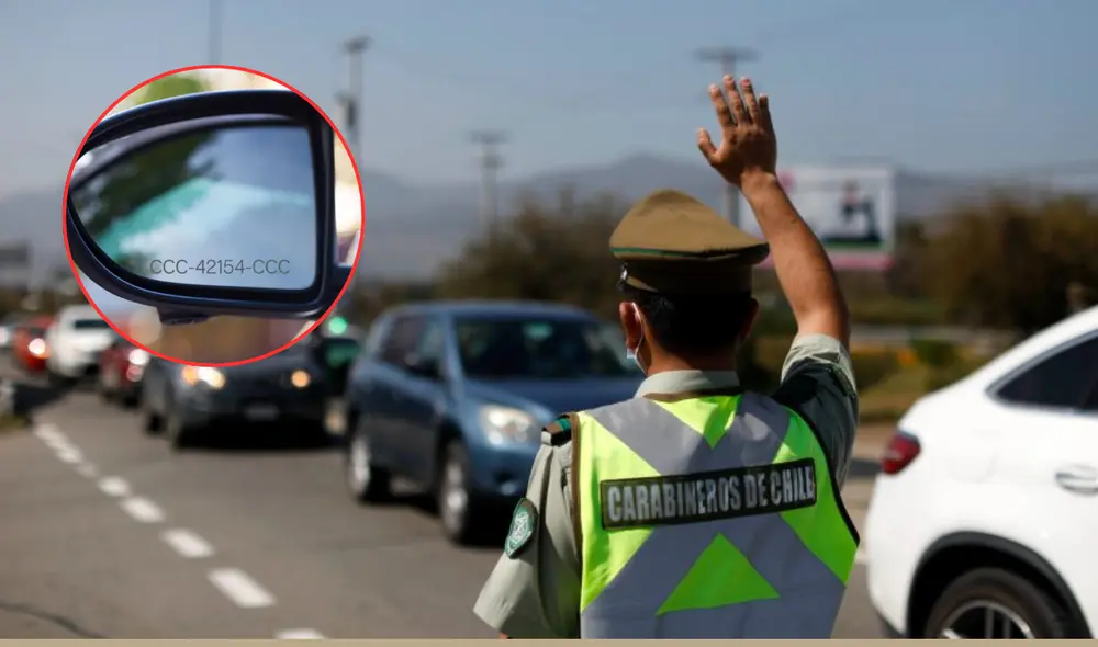 La patente deberá ir grabada en al menos seis vidrios. Foto: Composición LR/ Radio Agricultura La patente deberá ir grabada en al menos seis vidrios. Foto: Composición LR/ Radio Agricultura