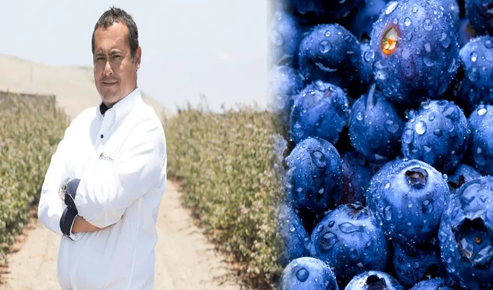 Carlos Gareda es un ingeniero peruano y fundador de la empresa Inka’s Berries, que convirtió al Perú en el mayor productor de arándanos del mundo. Foto: Composición LR/ BBC/ Andina Carlos Gareda es un ingeniero peruano y fundador de la empresa Inka’s Berries, que convirtió al Perú en el mayor productor de arándanos del mundo. Foto: Composición LR/ BBC/ Andina