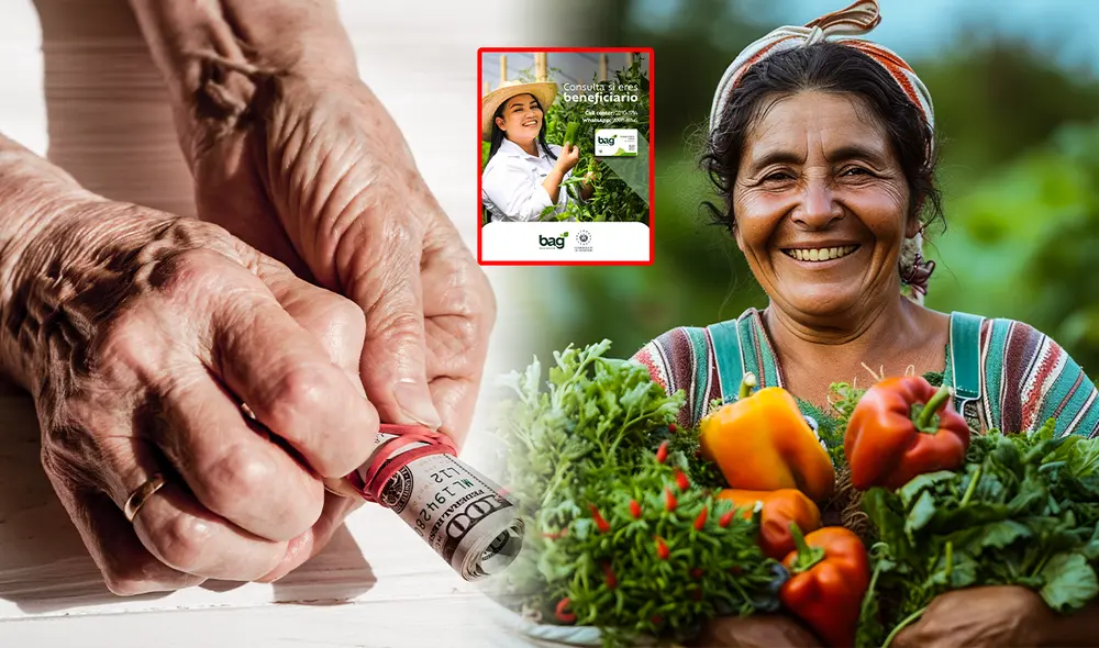 El bono Agrícola alcanza los 75 dólares en El Salvador. Foto: composición LR/Freepik/MAG