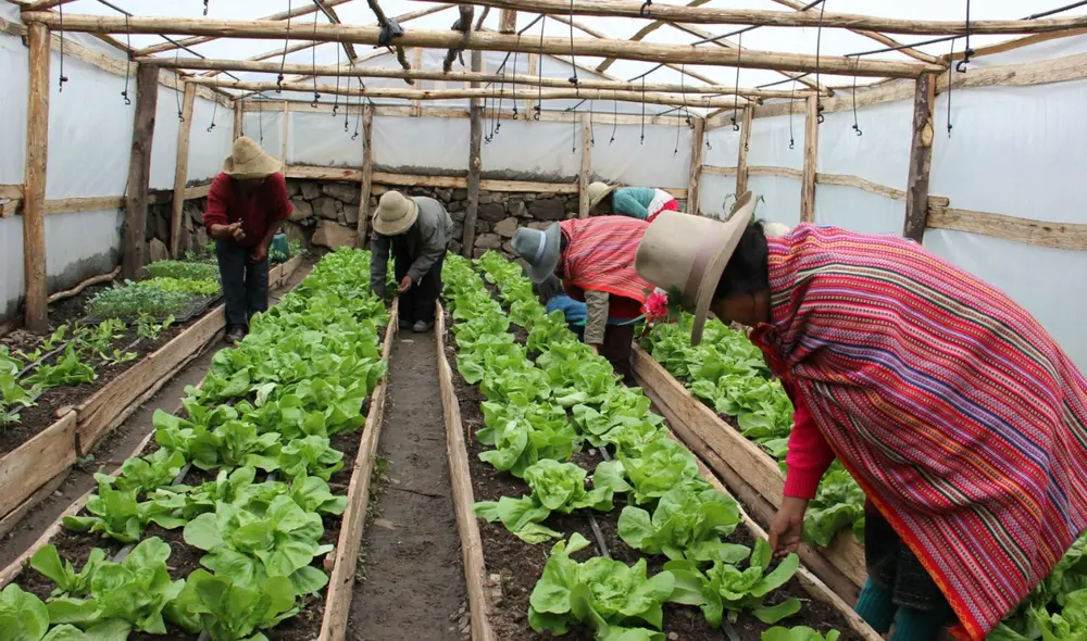 Inversión permitirá a las comunidades generar ingresos sostenibles mediante emprendimientos productivos.