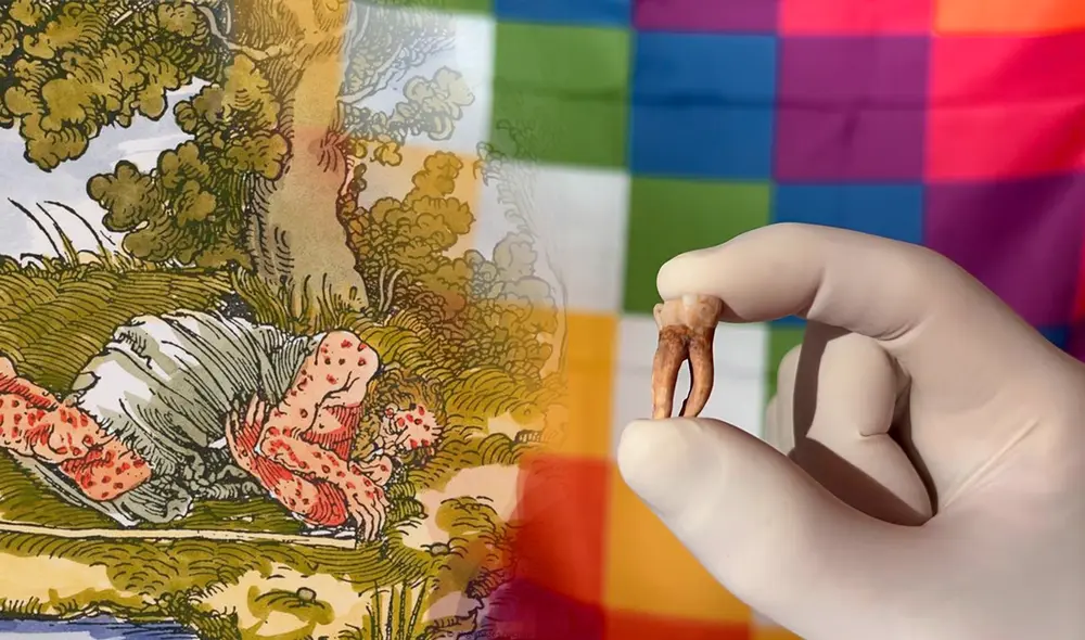 Evidencia de un diente hallado en un yacimiento arqueológico en América. Foto: Nicolás Rascovan / Composición LR Evidencia de un diente hallado en un yacimiento arqueológico en América. Foto: Nicolás Rascovan / Composición LR