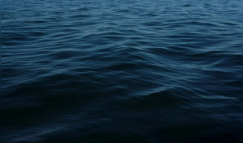 Los efectos del oscurecimiento oceánico también se extienden a los servicios ecosistémicos que afectan a millones de personas.