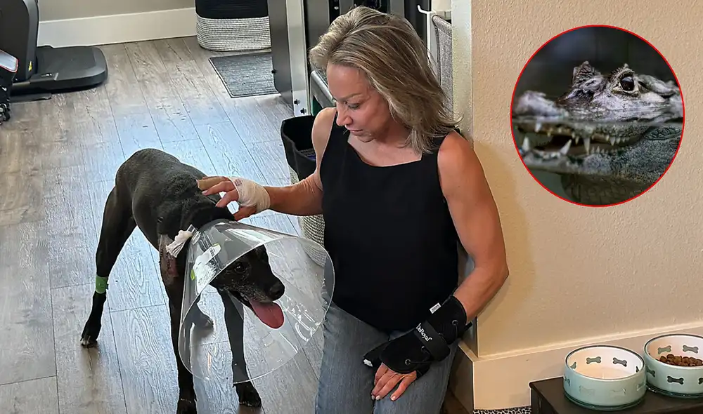 Kim Spencer enfrentó una difícil situación cuando un caimán atacó a su perro en Florida.