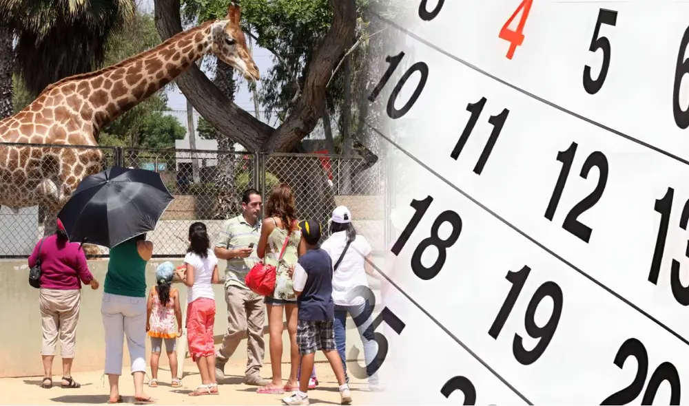 Trabajadores disfrutarán del feriado el 7 de junio de 2025 en Perú.