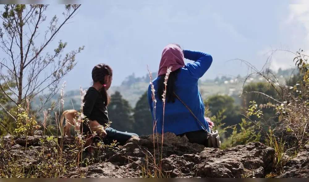 Festival Internacional de Cine y Comunicación de los Pueblos Indígenas. Imagen: Difusión.