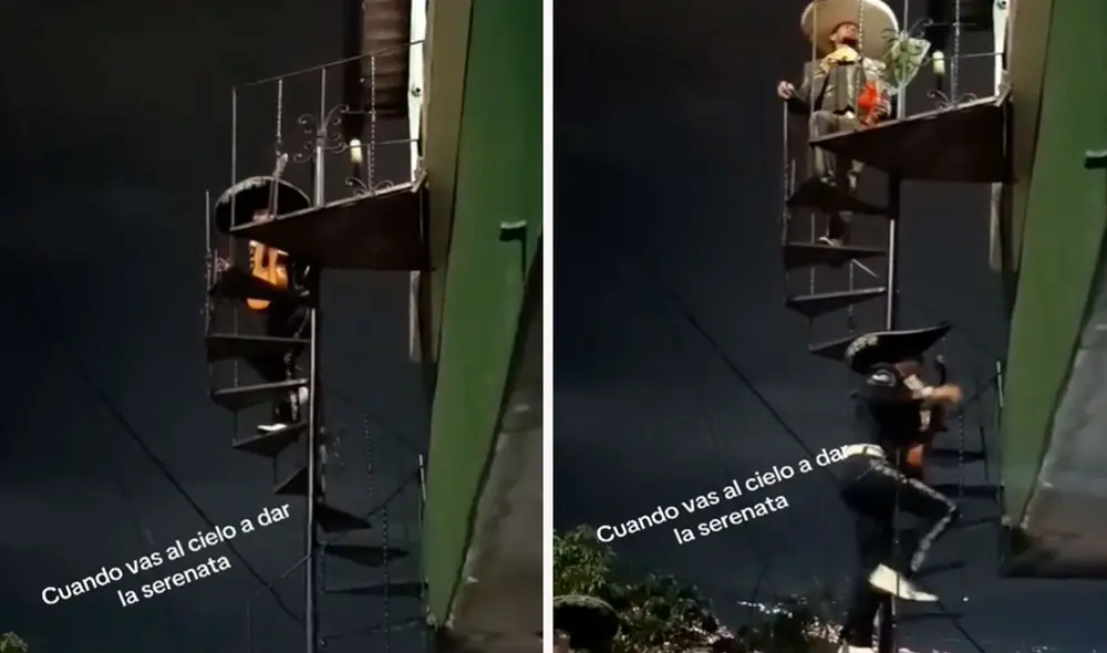 Las imágenes sacaron más de una sonrisa en las redes sociales. Foto: composición LR/ TikTok/ @davedsanchezd