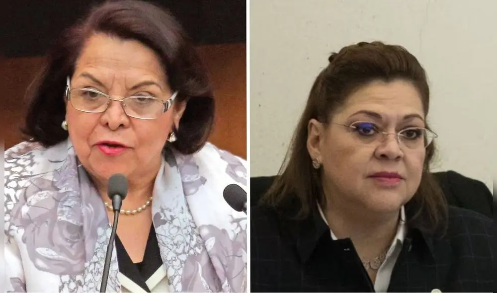 Tribunal de Disciplina podría ser encabezado por Celia Maya o Eva Verónica de Gyvés.