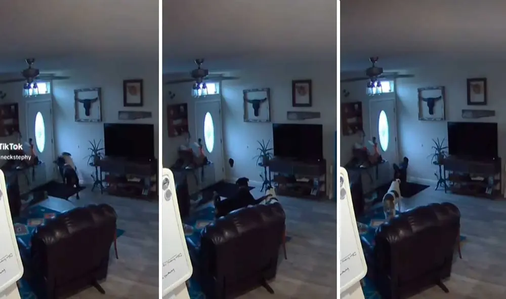 Video tiene millones de vistas.