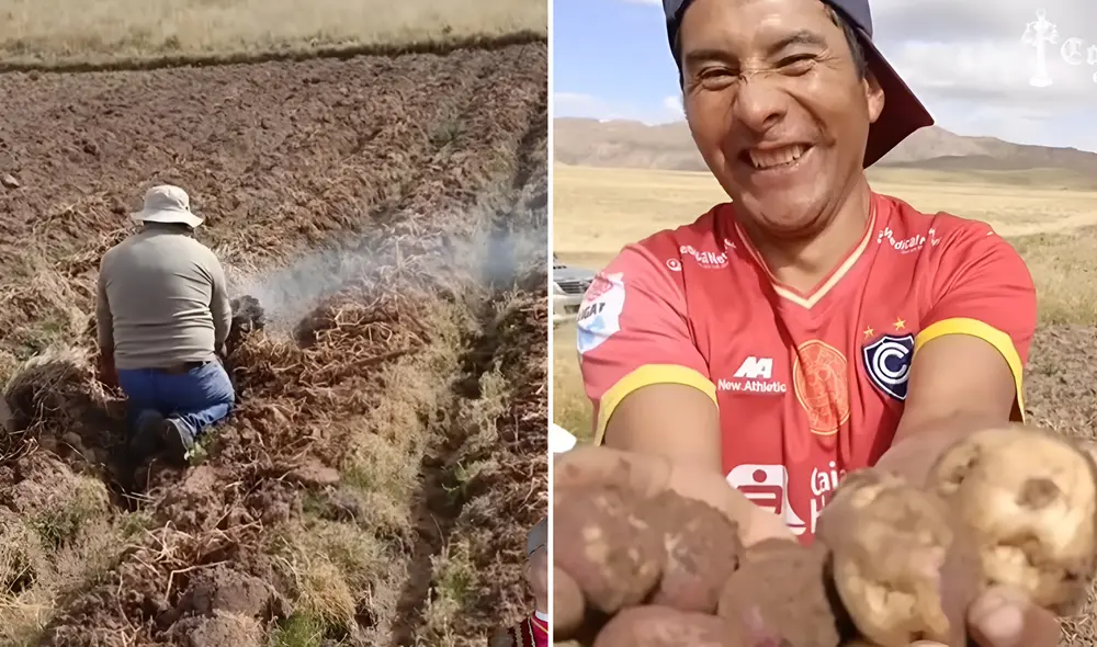 El agricultor logró transmitir la alegría de la cosecha de papas, un producto en la gastronomía peruana. Foto: composición LR/ captura de Facebook