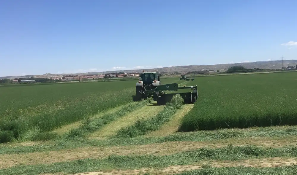 El cultivo de alfalfa contribuye a la diversificación agrícola al integrarse en esquemas de rotación con maíz y cebolla