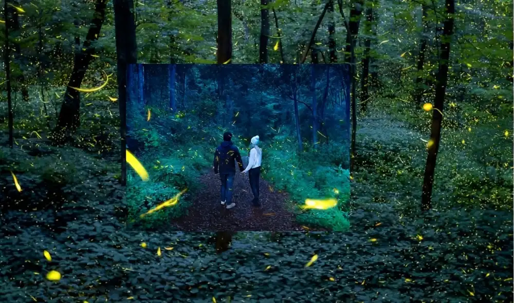 Visitantes observan el espectáculo natural de luciérnagas en los bosques de Edomex.