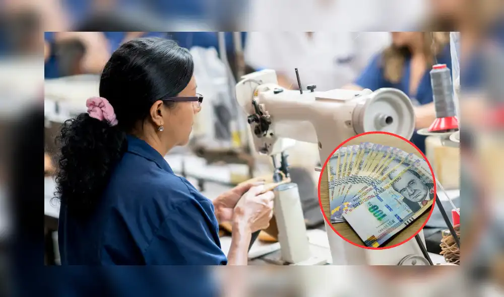 Más de 142.000 personas usuarias de la pensión no contributiva de S300 deberán renovar su condición socioeconómica. Foto: Composición LR/Andina Más de 142.000 personas usuarias de la pensión no contributiva de S300 deberán renovar su condición socioeconómica. Foto: Composición LR/Andina