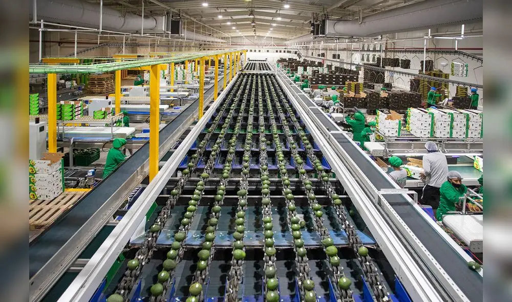 Estudio técnico del MEF concluyó que la Ley Chlimper que recorta el impuesto a la renta hasta el 2035 "no tienen ninguna justificación y resulta antitécnico". Estudio técnico del MEF concluyó que la Ley Chlimper que recorta el impuesto a la renta hasta el 2035 "no tienen ninguna justificación y resulta antitécnico".