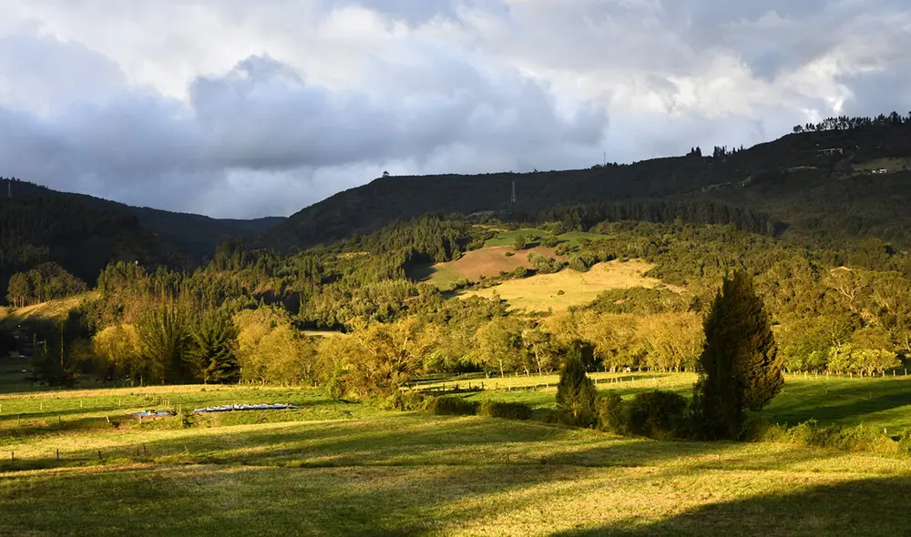 El altiplano de Bogotá, Colombia, albergó a un antiguo linaje de cazadores-recolectores. Foto: Universidad Nacional de Colombia